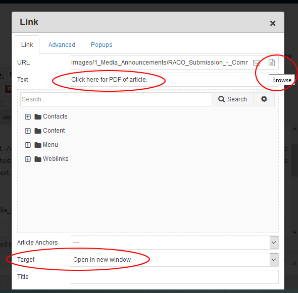 Creating link to PDF